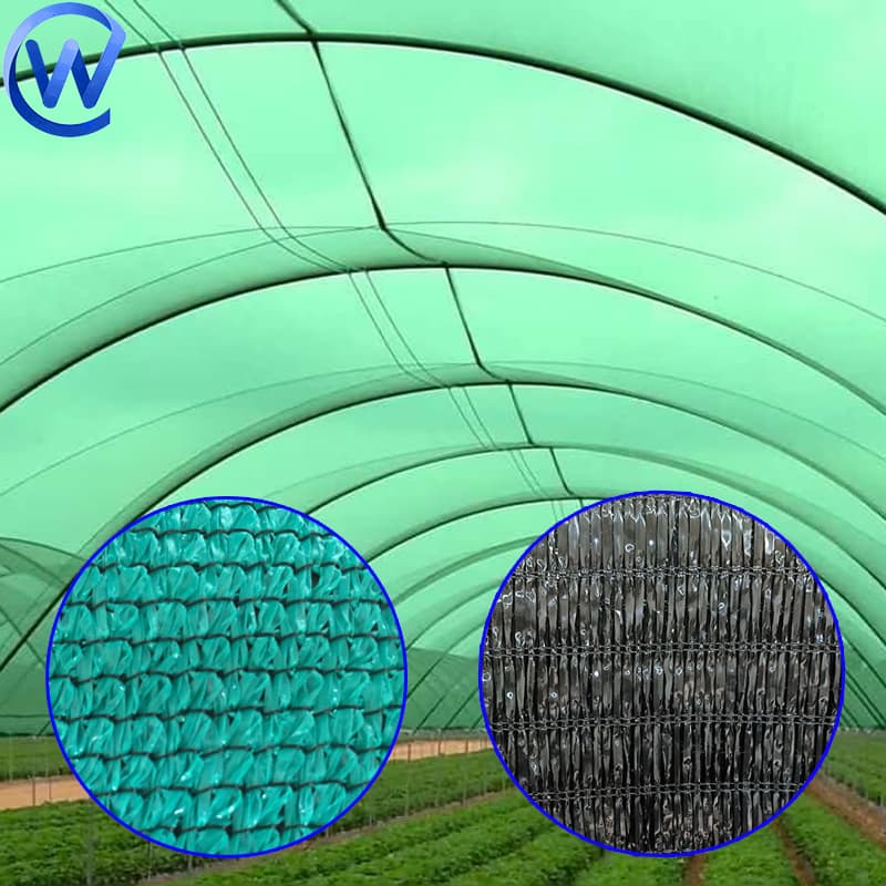 Filet d'Ombrage 80% 4mx50m